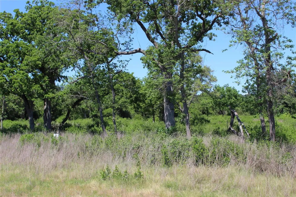 53 Pr 1315 Road Centerville, TX 75833