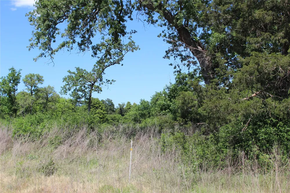 53 Pr 1315 Road Centerville, TX 75833