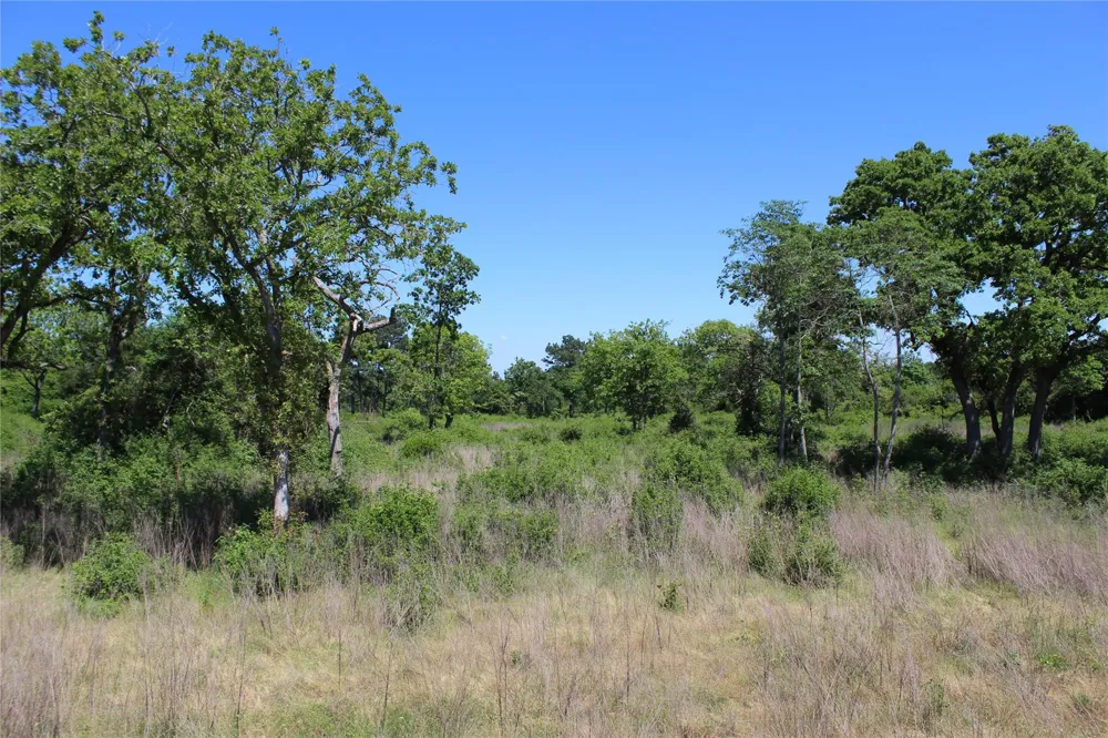 53 Pr 1315 Road Centerville, TX 75833