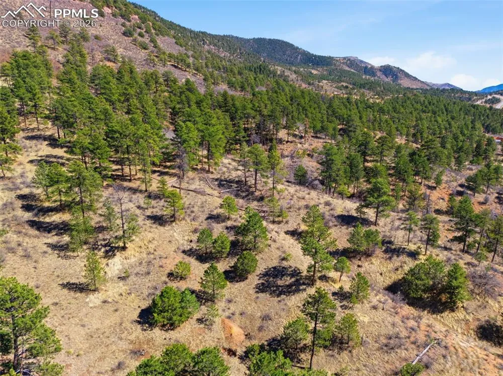11070 W Highway 24 Cascade, CO 80819