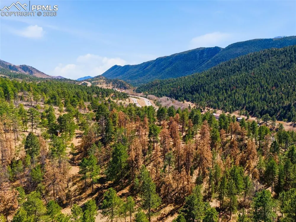 11070 W Highway 24 Cascade, CO 80819