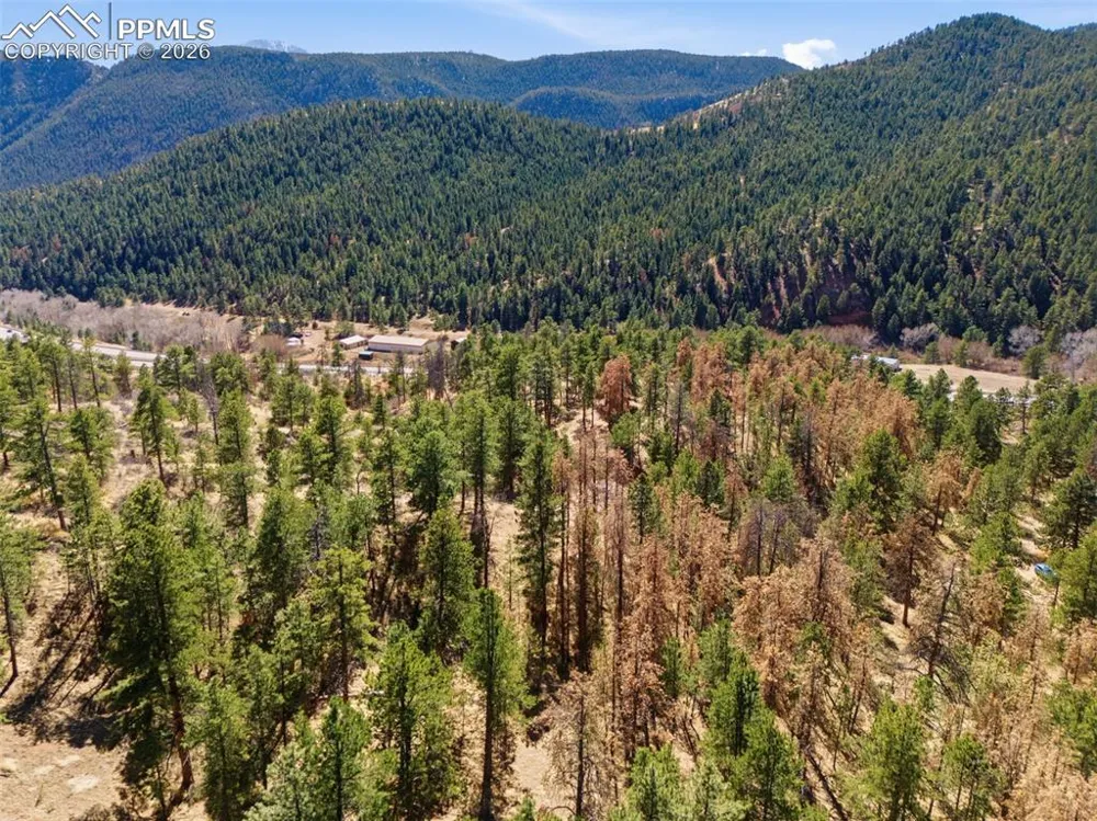 11070 W Highway 24 Cascade, CO 80819
