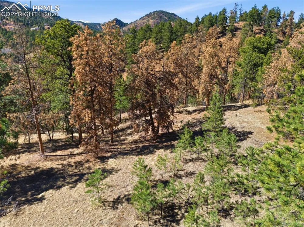 11070 W Highway 24 Cascade, CO 80819
