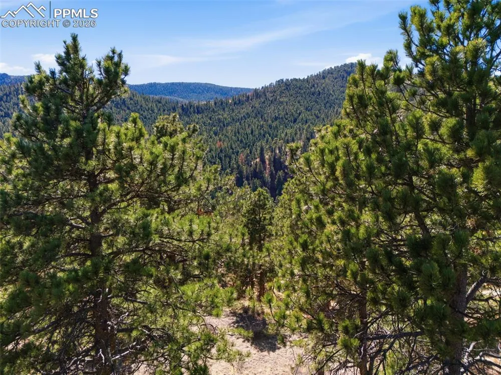 11070 W Highway 24 Cascade, CO 80819