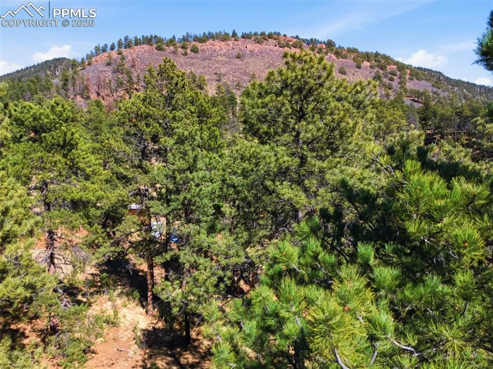 11070 W Highway 24 Cascade, CO 80819