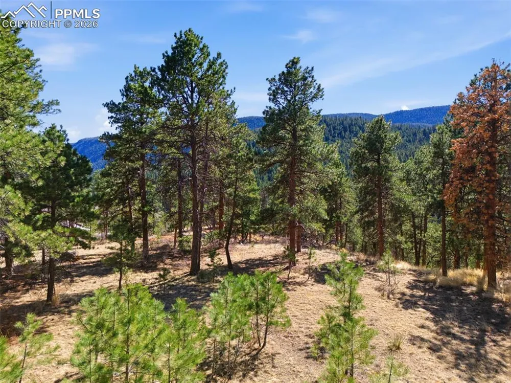11070 W Highway 24 Cascade, CO 80819