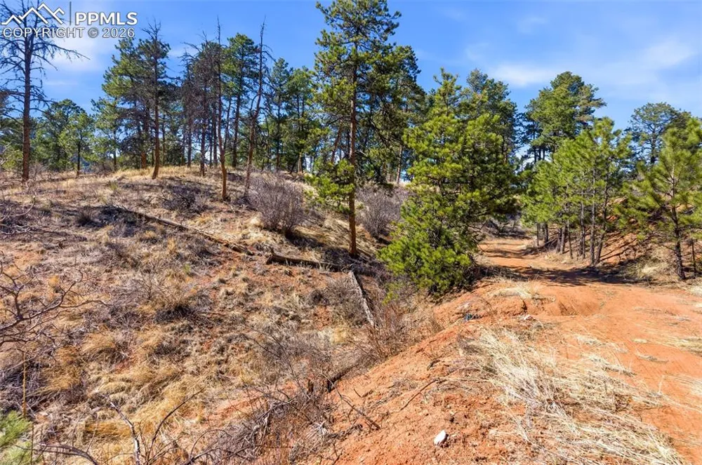 11070 W Highway 24 Cascade, CO 80819