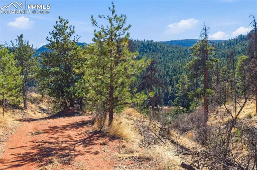 11070 W Highway 24 Cascade, CO 80819