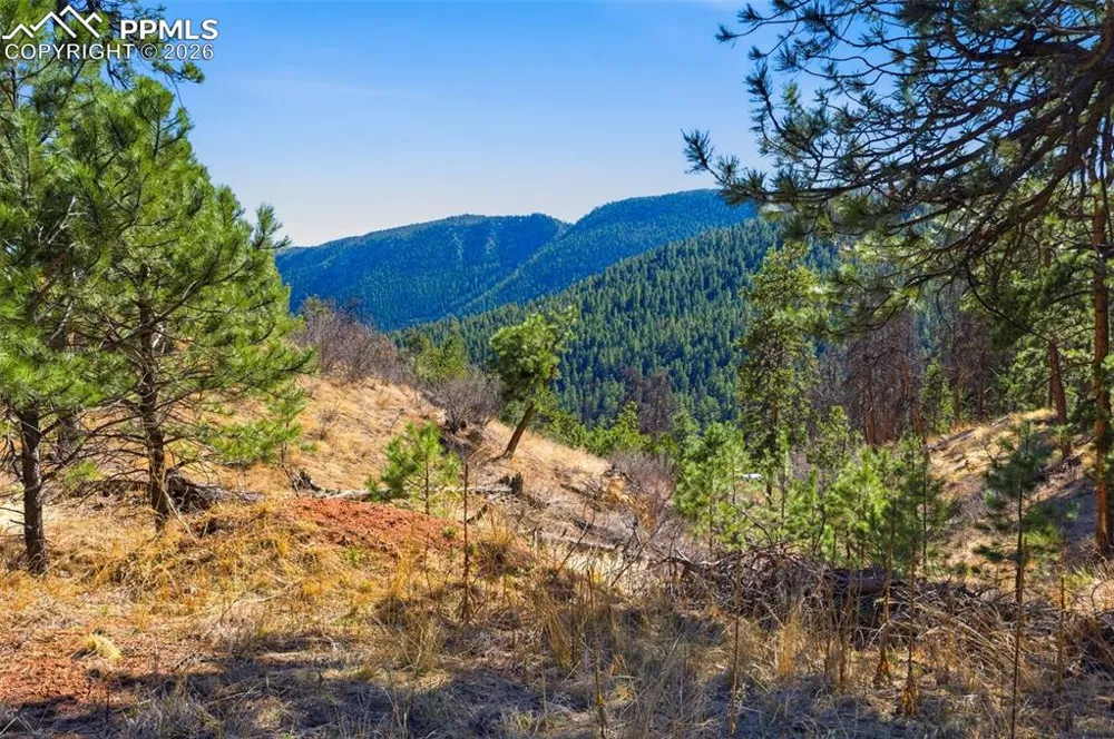 11070 W Highway 24 Cascade, CO 80819