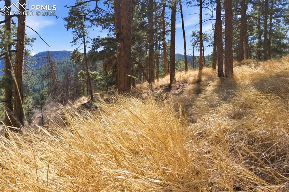 11070 W Highway 24 Cascade, CO 80819