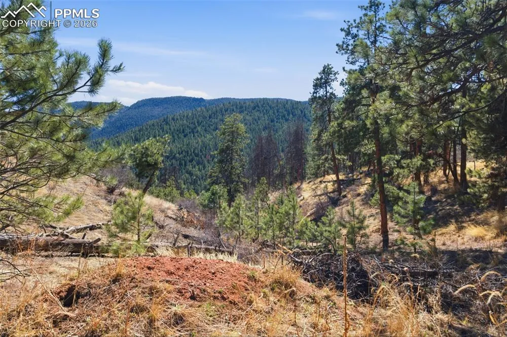 11070 W Highway 24 Cascade, CO 80819