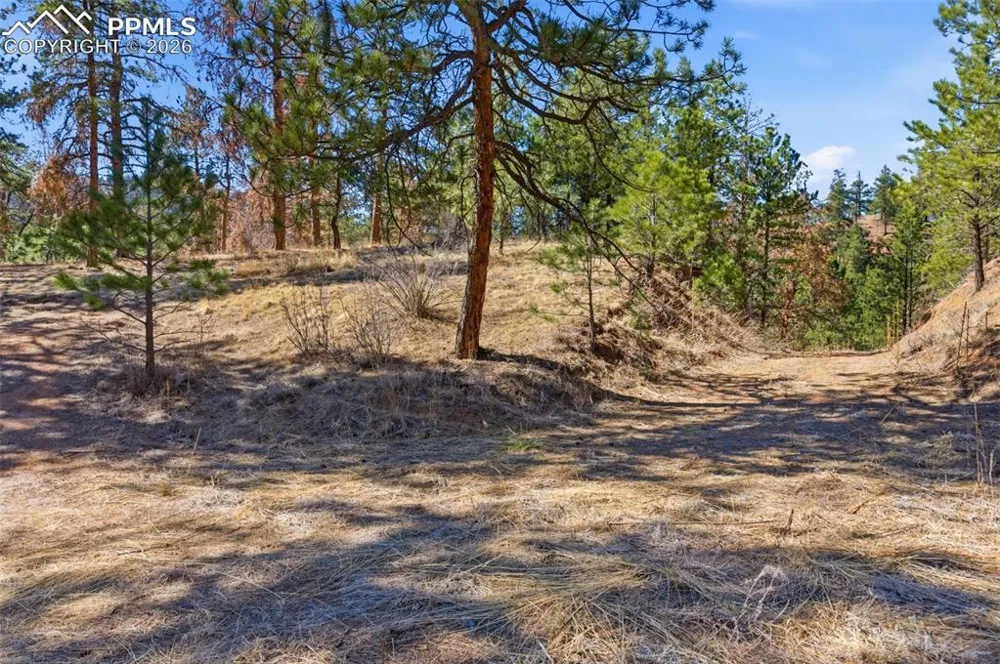 11070 W Highway 24 Cascade, CO 80819