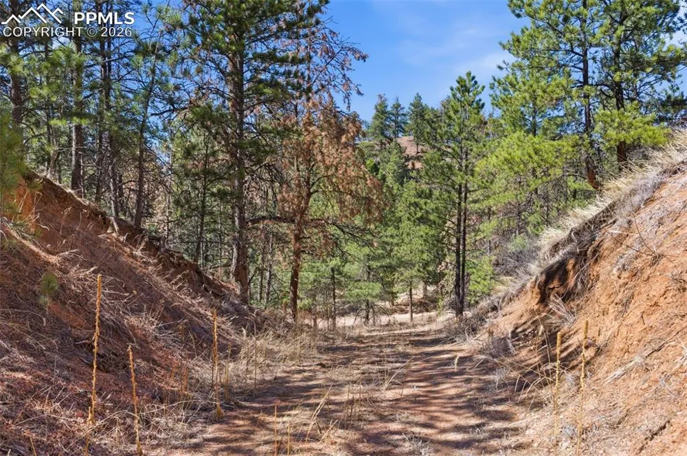 11070 W Highway 24 Cascade, CO 80819