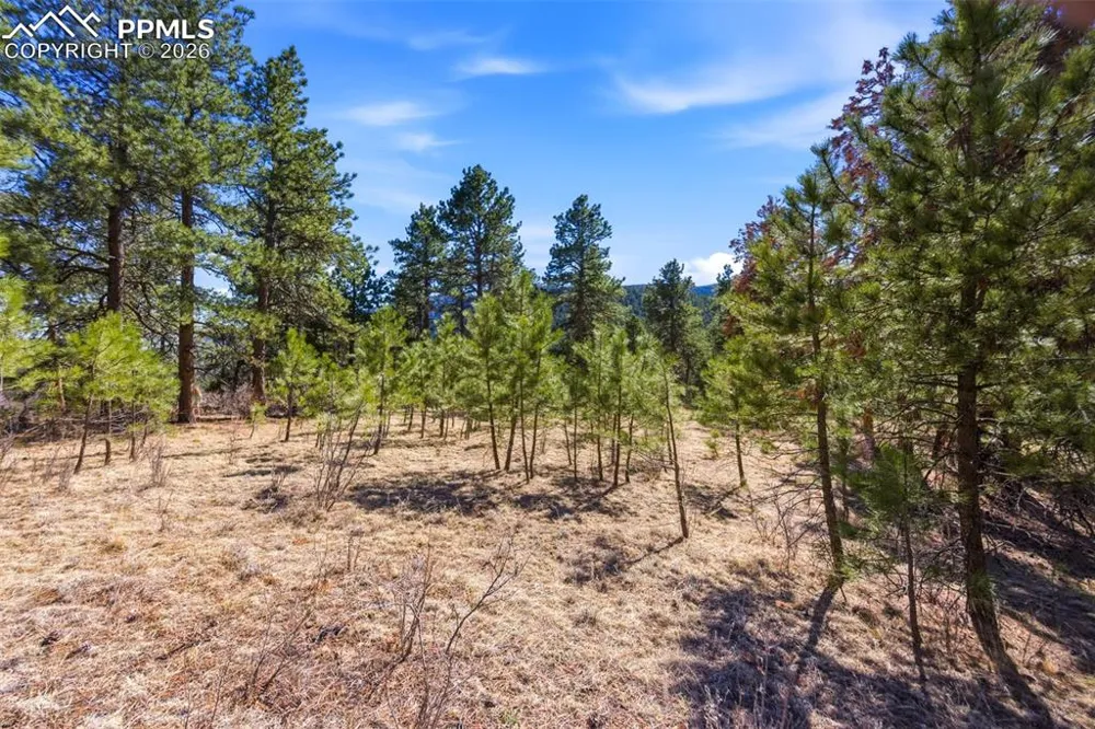 11070 W Highway 24 Cascade, CO 80819