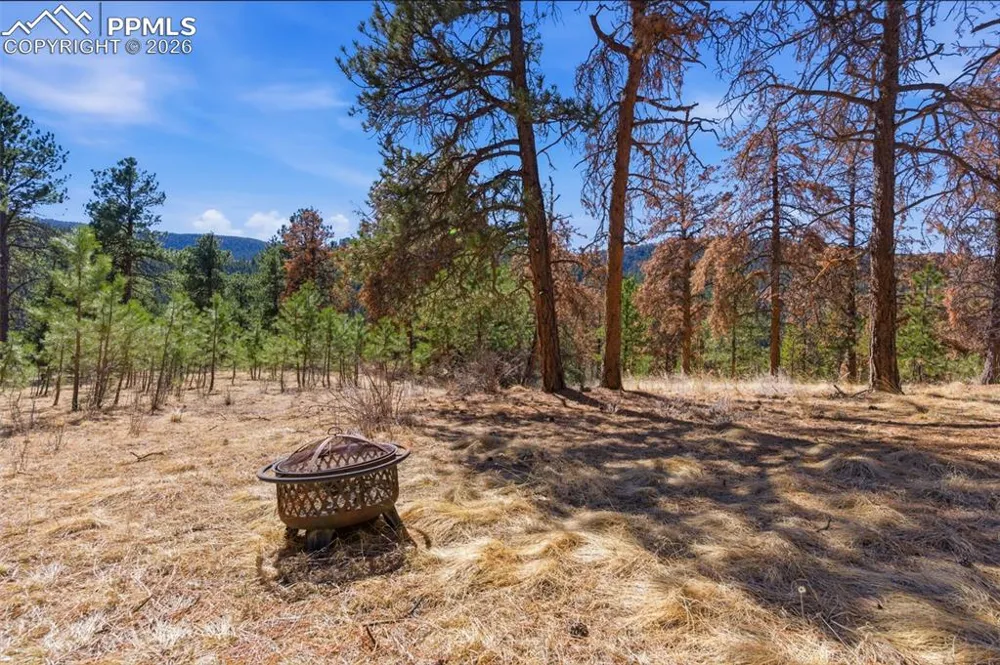11070 W Highway 24 Cascade, CO 80819