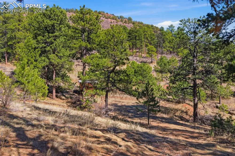 11070 W Highway 24 Cascade, CO 80819