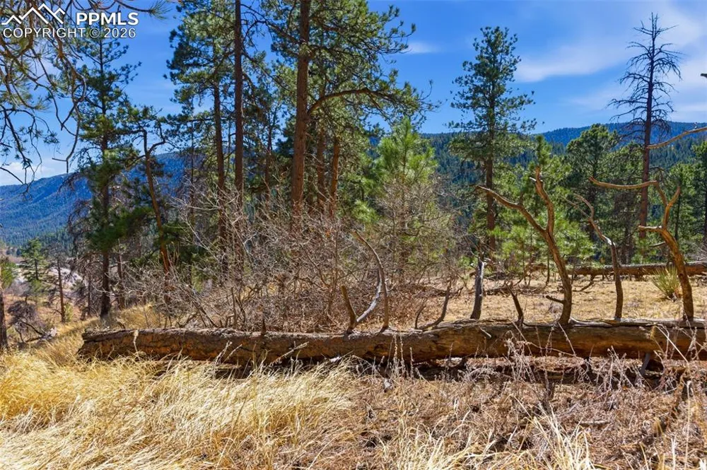 11070 W Highway 24 Cascade, CO 80819