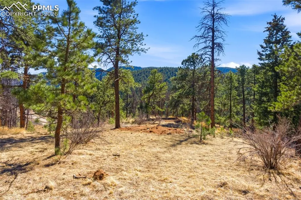 11070 W Highway 24 Cascade, CO 80819