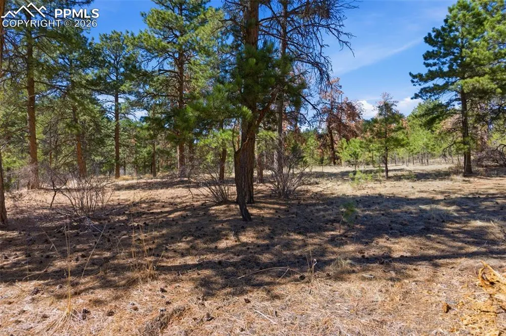 11070 W Highway 24 Cascade, CO 80819