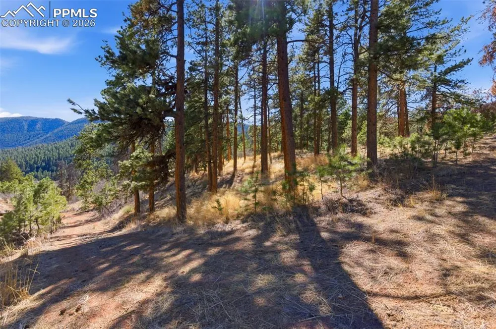 11070 W Highway 24 Cascade, CO 80819