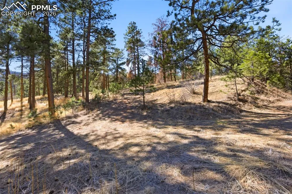 11070 W Highway 24 Cascade, CO 80819