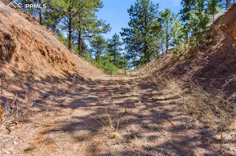 11070 W Highway 24 Cascade, CO 80819