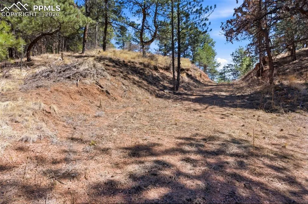 11070 W Highway 24 Cascade, CO 80819
