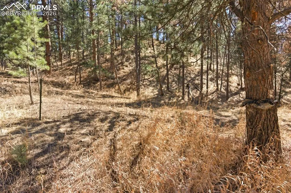 11070 W Highway 24 Cascade, CO 80819