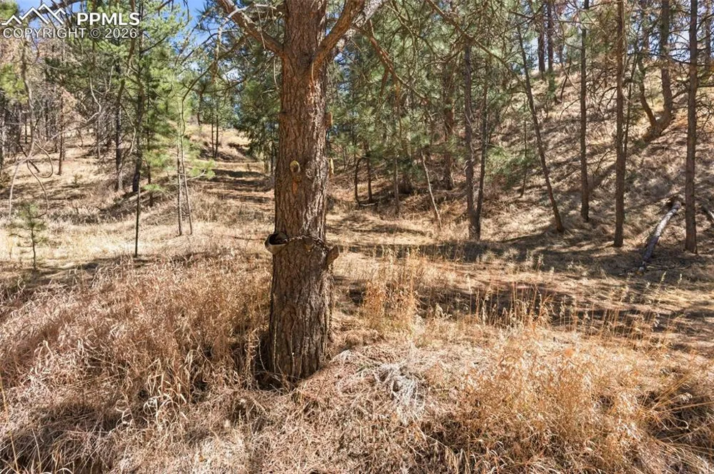 11070 W Highway 24 Cascade, CO 80819