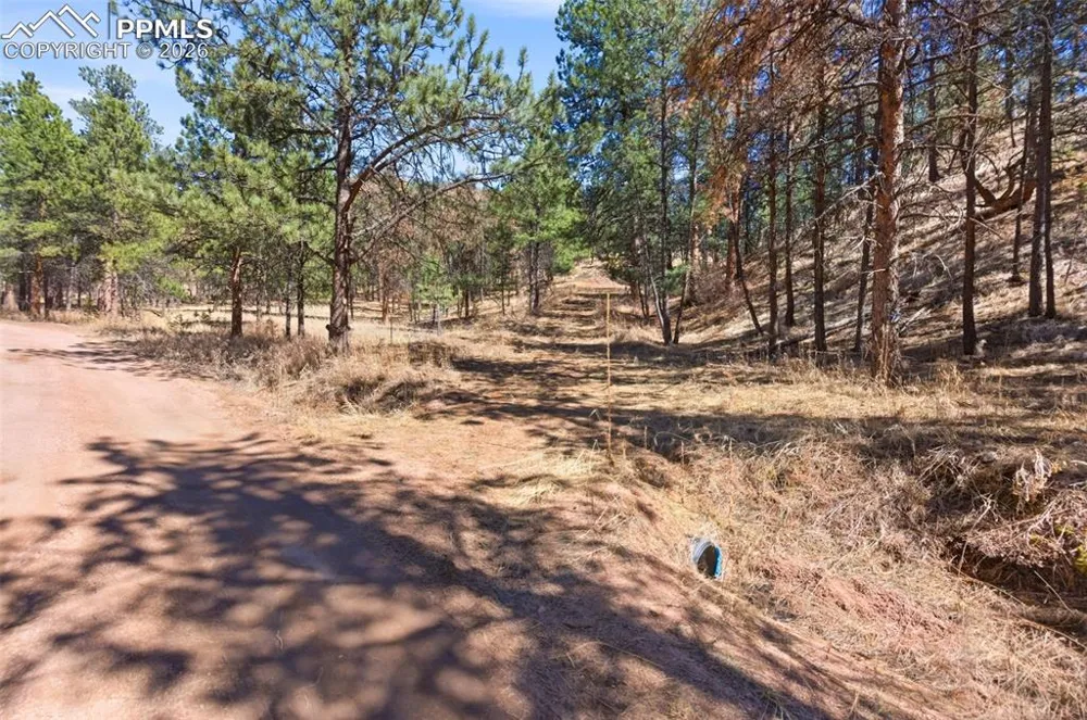 11070 W Highway 24 Cascade, CO 80819