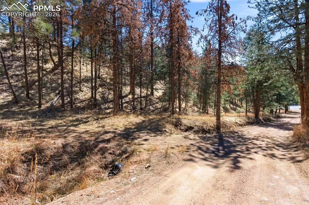 11070 W Highway 24 Cascade, CO 80819
