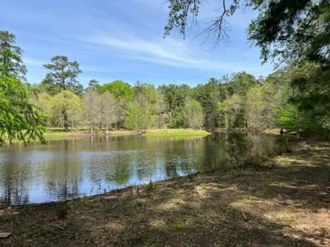 9296 County Road 302
