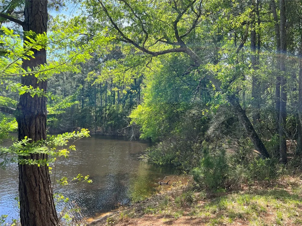 9296 County Road 302 Plantersville, TX 77363