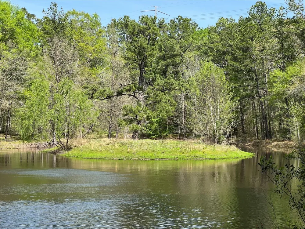 9296 County Road 302 Plantersville, TX 77363