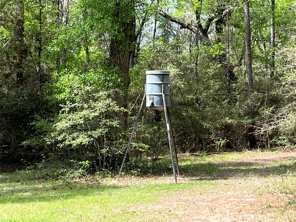 9296 County Road 302 Plantersville, TX 77363