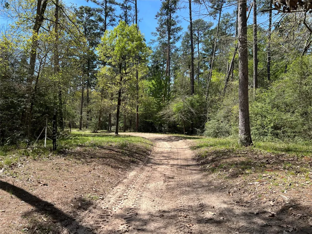 9296 County Road 302 Plantersville, TX 77363