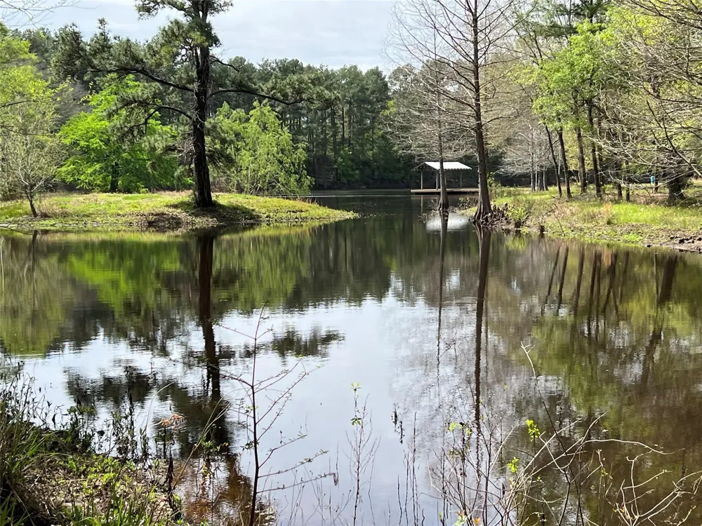 9296 County Road 302 Plantersville, TX 77363