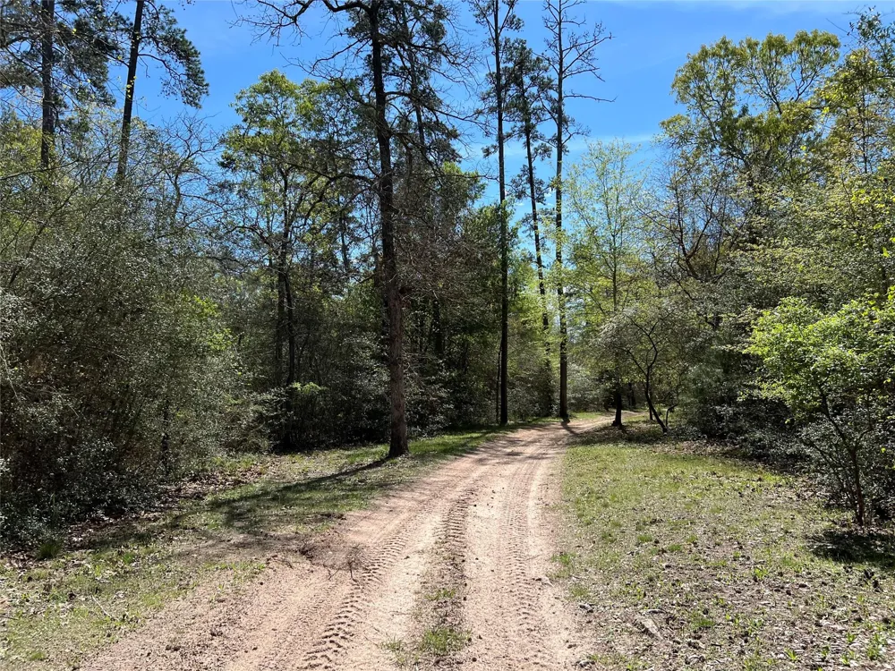 9296 County Road 302 Plantersville, TX 77363