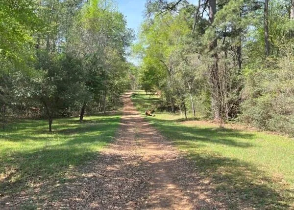 9296 County Road 302 Plantersville, TX 77363