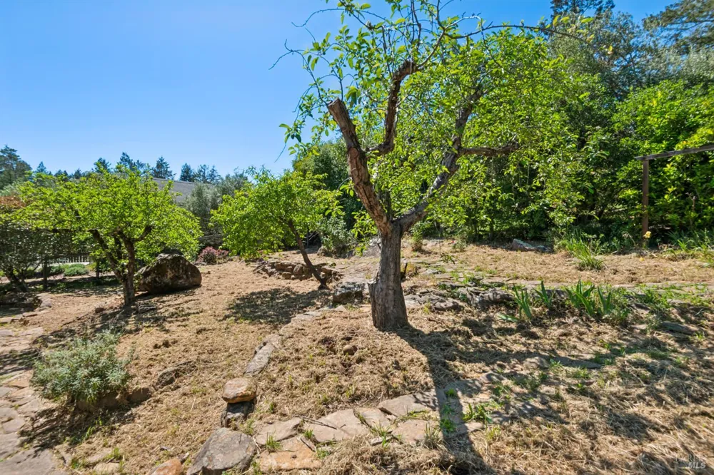 1475 Los Olivos Road Santa Rosa, CA 95404