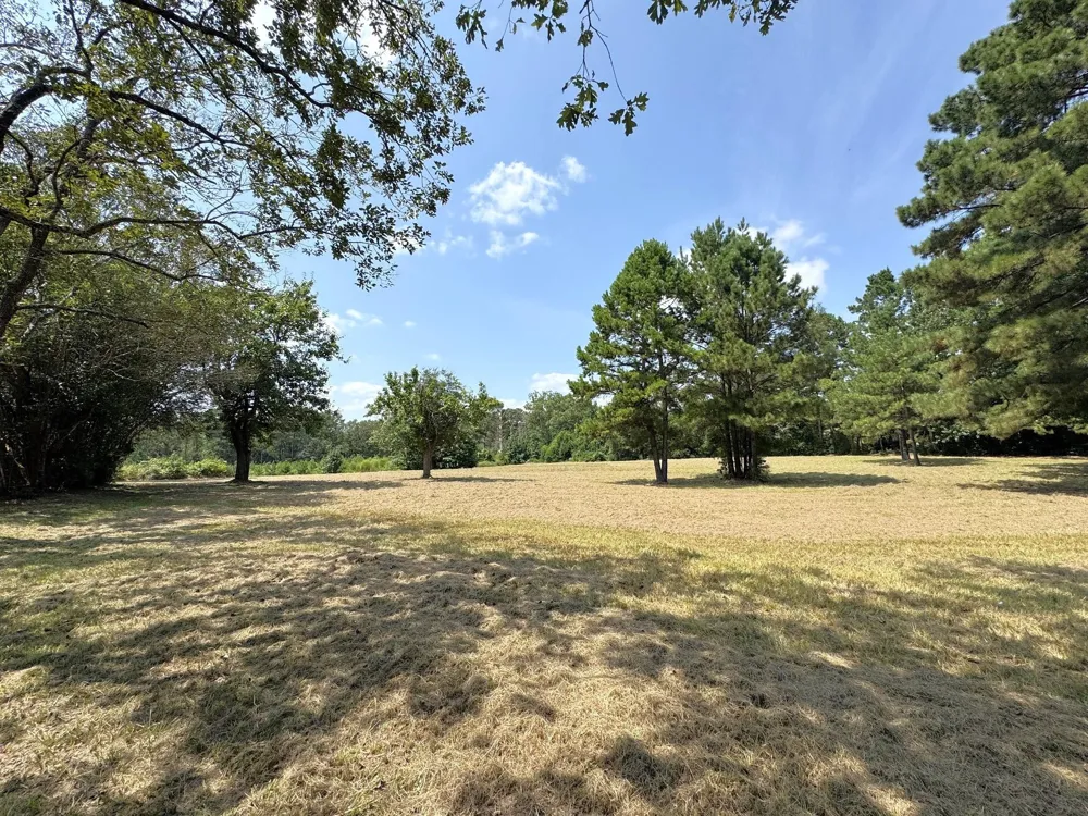 S Pitzer Street Colmesneil, TX 75938
