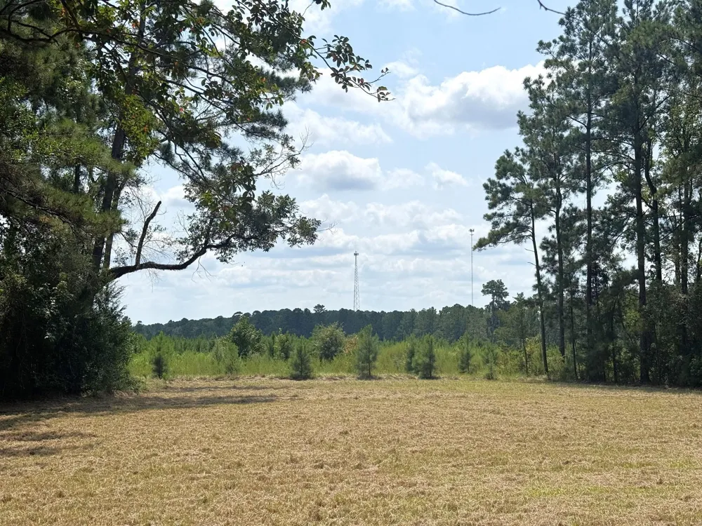 S Pitzer Street Colmesneil, TX 75938