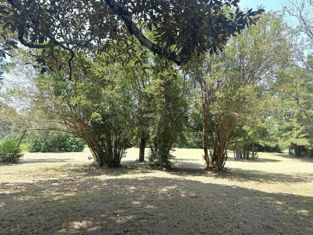 S Pitzer Street Colmesneil, TX 75938