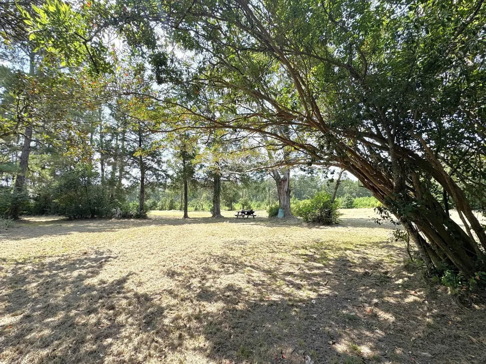 S Pitzer Street Colmesneil, TX 75938