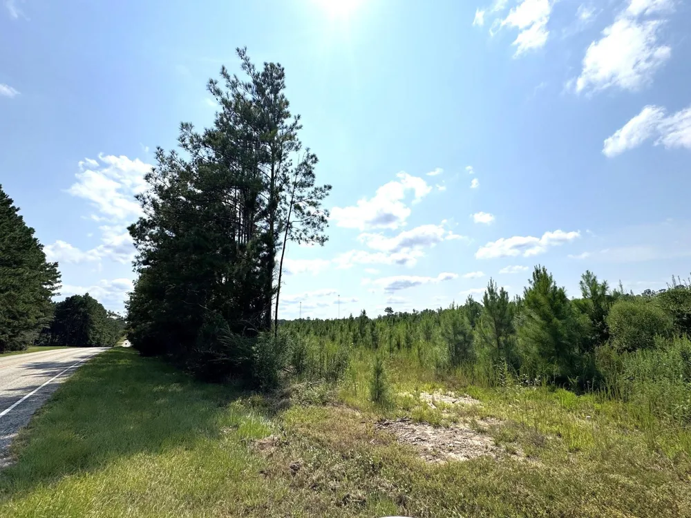 S Pitzer Street Colmesneil, TX 75938