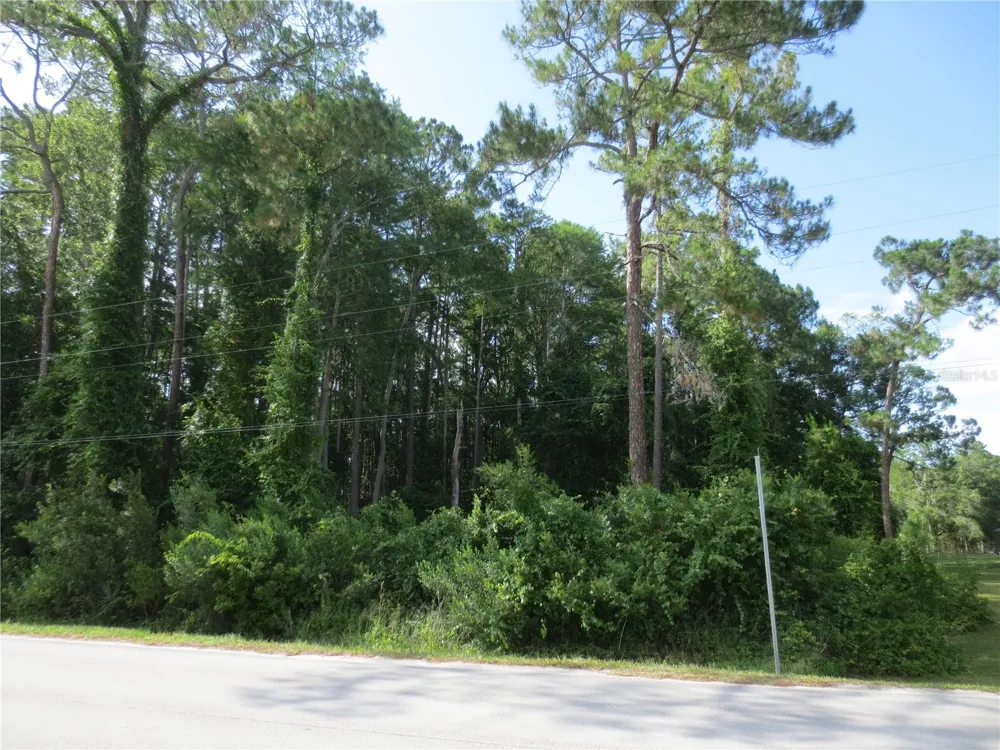 14655 NE 14TH STREET ROAD Silver Springs, FL 34488