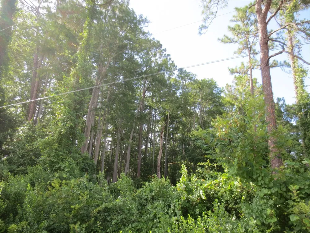14655 NE 14TH STREET ROAD Silver Springs, FL 34488