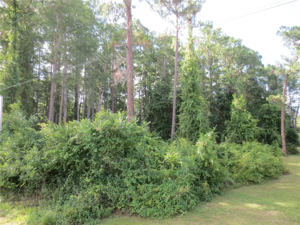 14655 NE 14TH STREET ROAD Silver Springs, FL 34488