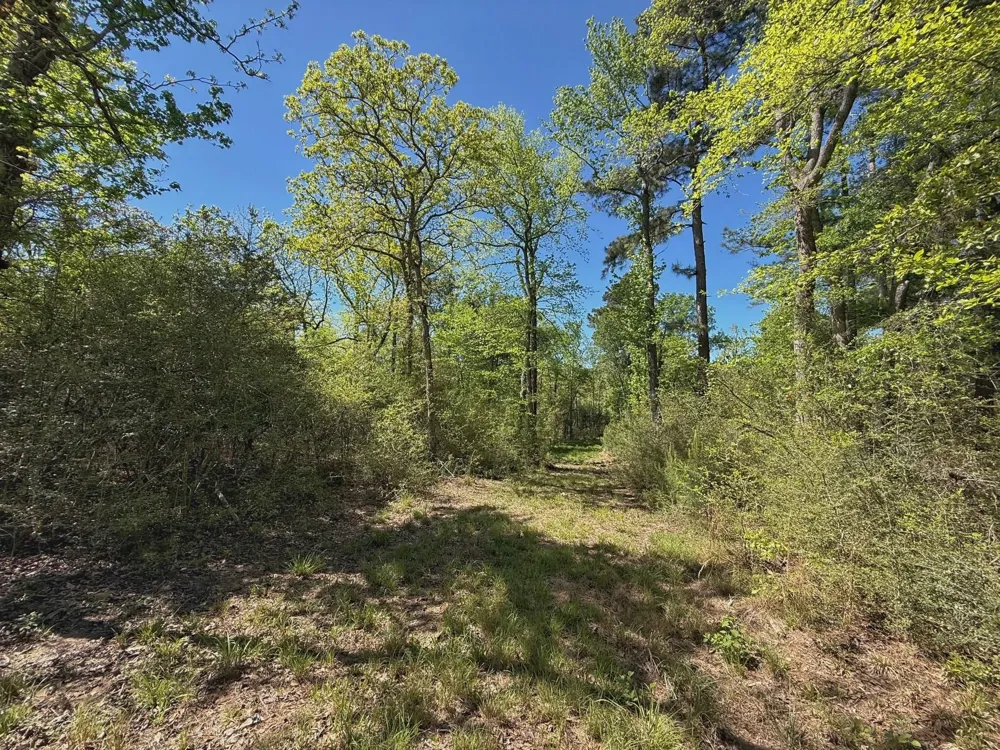 10 Cr 2926 Buffalo, TX 75831