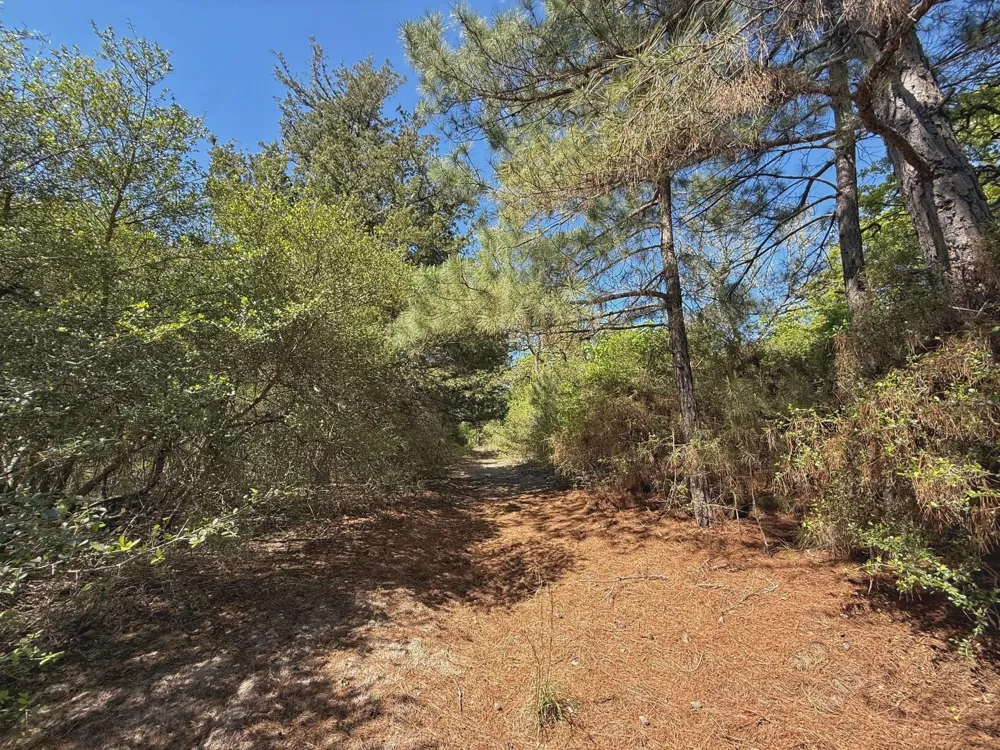 10 Cr 2926 Buffalo, TX 75831